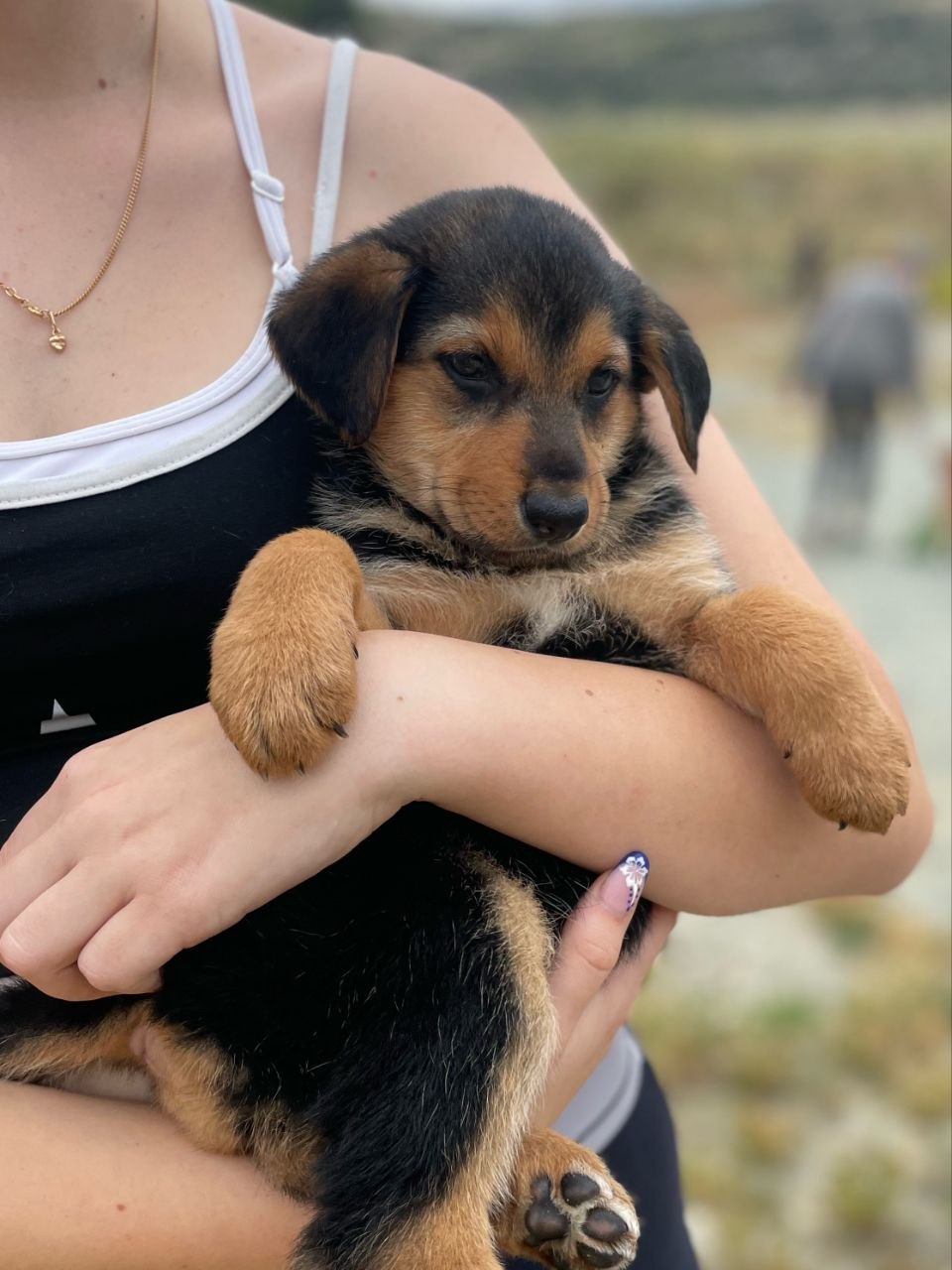 Nala - Successfully adopted rescued dog
